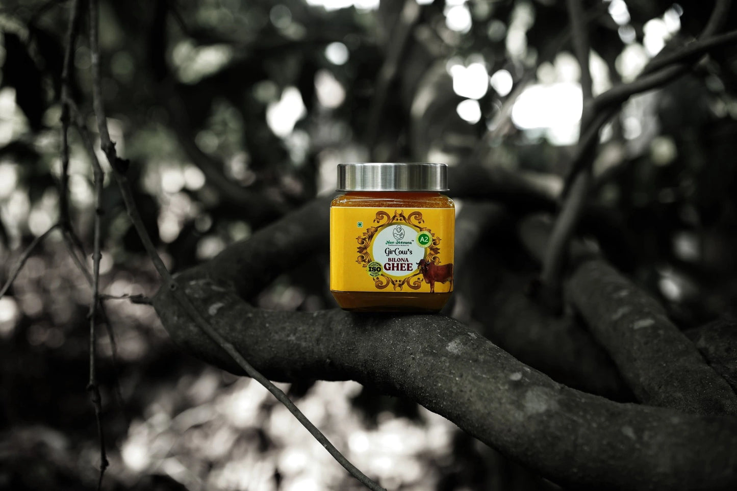 Pure A2 Bilona Ghee on a tree branch